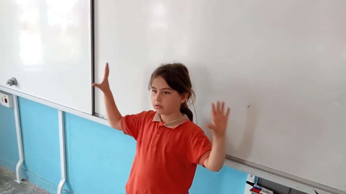 Dilimizin Zenginlikleri Projesi Çalışmalarımız 